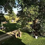 Lägenhet Wunderschoene 3-zimmerwohnung Auf Dem Bauernhof *