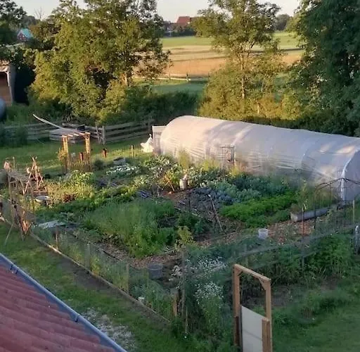 Wunderschoene 3-zimmerwohnung Auf Dem Bauernhof Апартаменты *